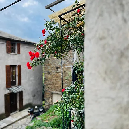 Ferienhaus Tres Jolie Maison Aux Portes Du Cap Corse