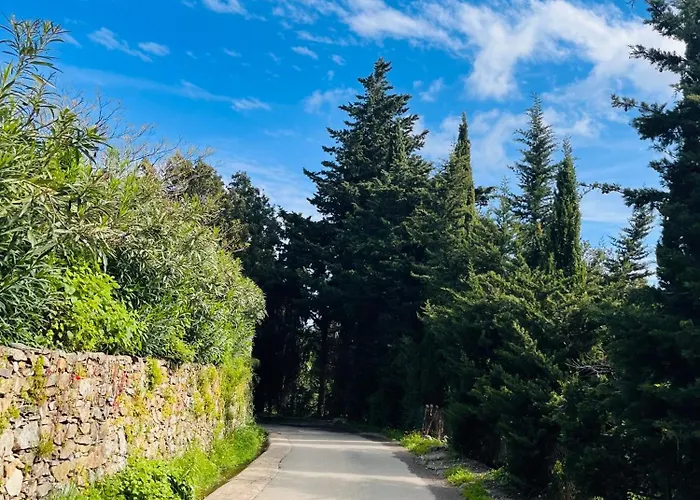 Tres Jolie Maison Aux Portes Du Cap Corse * Sisco