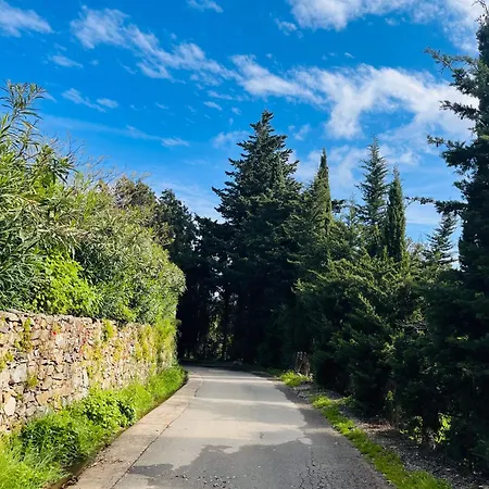 Tres Jolie Maison Aux Portes Du Cap Corse * Sisco