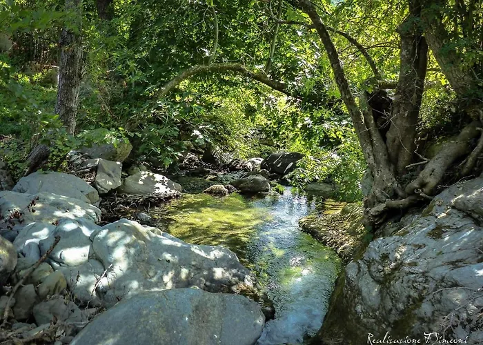 Tres Jolie Maison Aux Portes Du Cap Corse *
