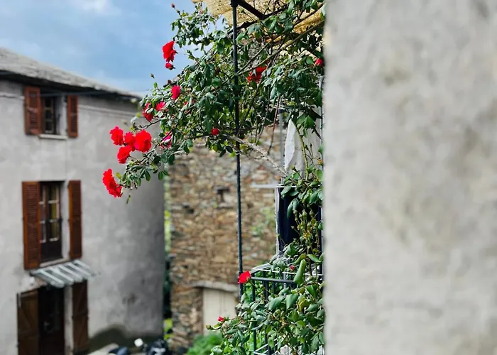 Vakantiehuis Tres Jolie Maison Aux Portes Du Cap Corse